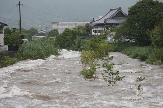 [令和元年8月の前線に伴う大雨による災害への支援募金 （Yahoo!基金）]の画像