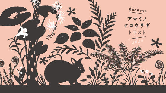 [奄美大島の豊かな自然を守るために 「アマミノクロウサギ・トラスト2020」]の画像
