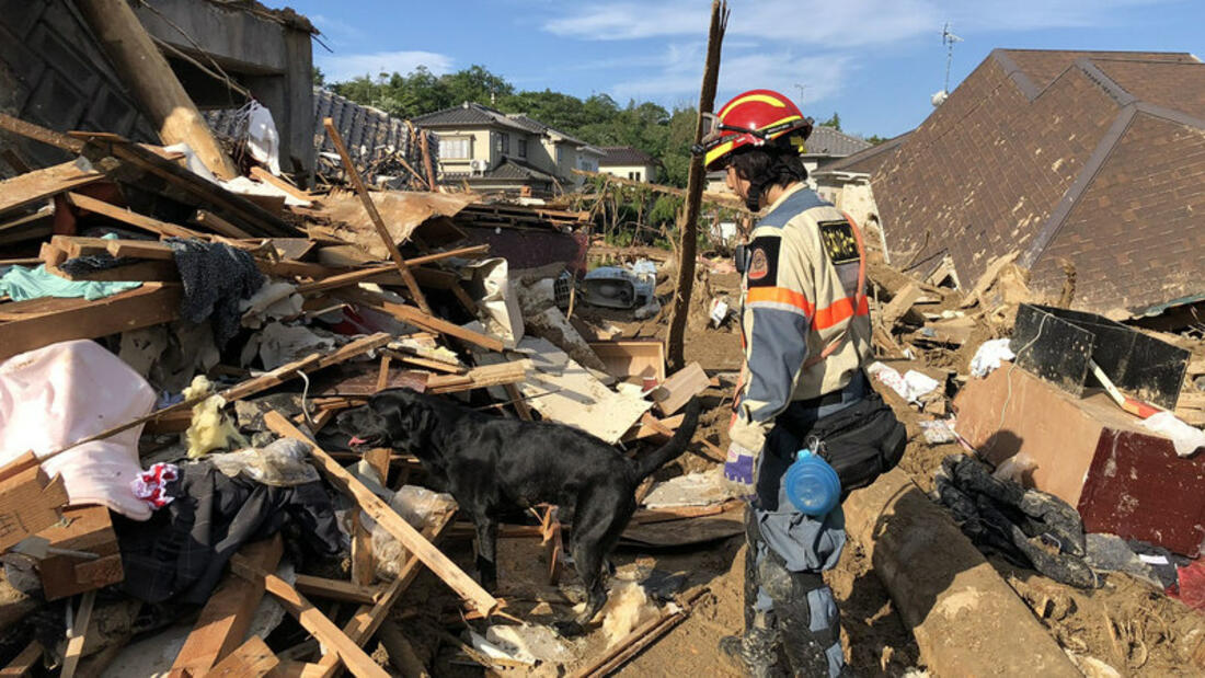 [【令和元年台風19号被災地支援】被災された方々と犬猫達のために（日本レスキュー協会）]の画像