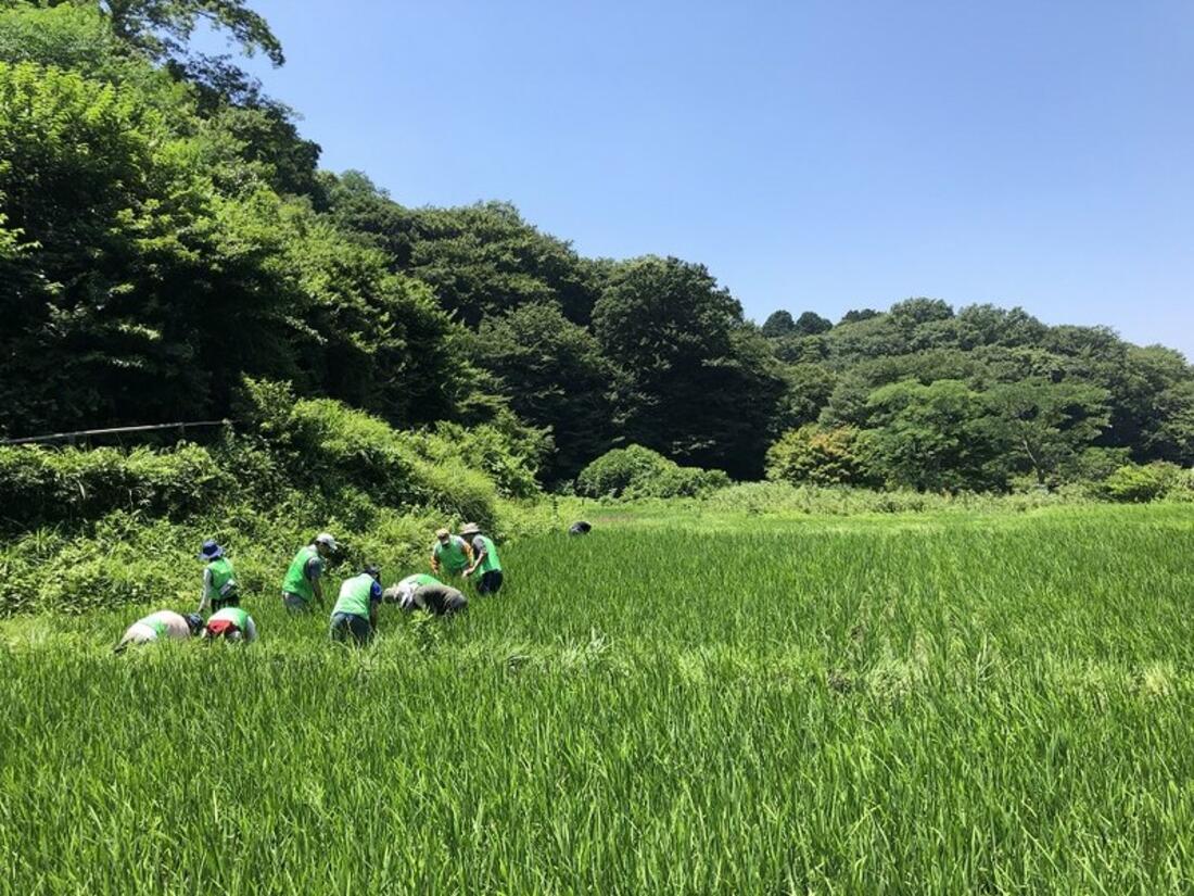 [都市の緑が消える、その前にみんなの手で自然を守ろう。]の画像