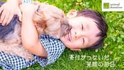 [ 【キモチをカタチに。】日本の動物福祉を世界トップレベルに！]の画像