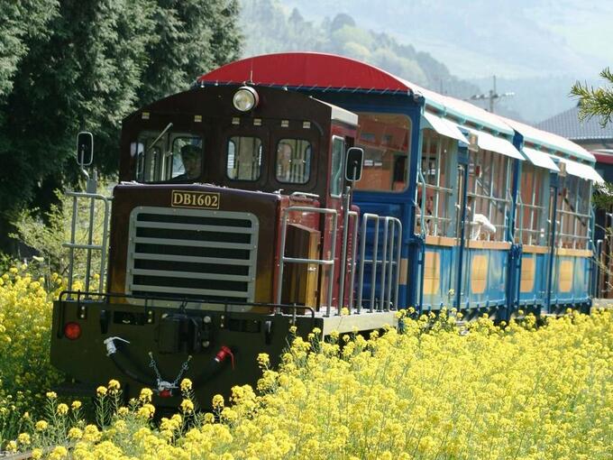 [南阿蘇鉄道]の画像