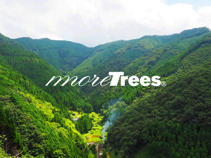 [モア・トゥリーズ（more trees）]の画像