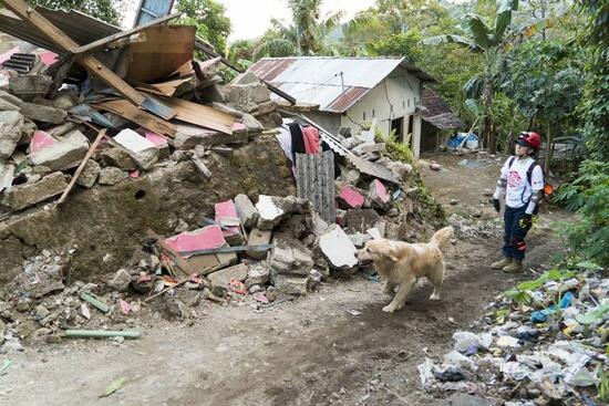 [【インドネシア地震】被害の大きいロンボク島での被災地支援]の画像