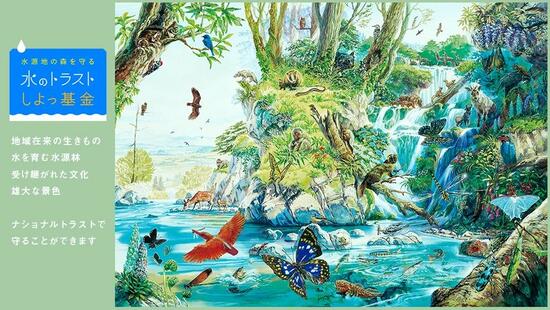[水源の森を守る「水のトラストしよっ基金」 （埼玉県生態系保護協会）]の画像