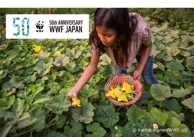 [人と自然が調和して生きられる未来を築く “WWFジャパン設立50周年”]の画像