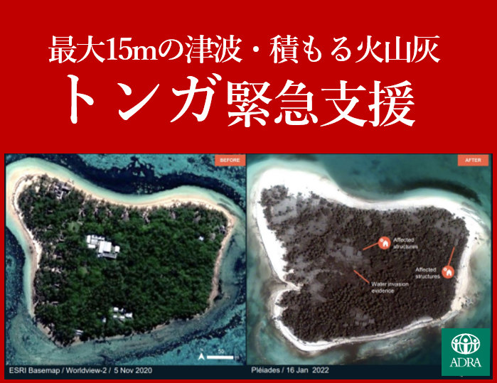 [ 【トンガ噴火】津波と火山灰が襲った被災地に緊急支援を （ADRA Japan）]の画像
