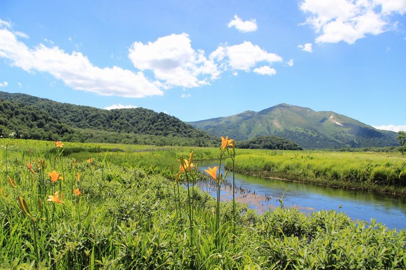 豊かな自然と多様な生きものを守り 次の世代につないでいくために （日本自然保護協会） - Yahoo!ネット募金