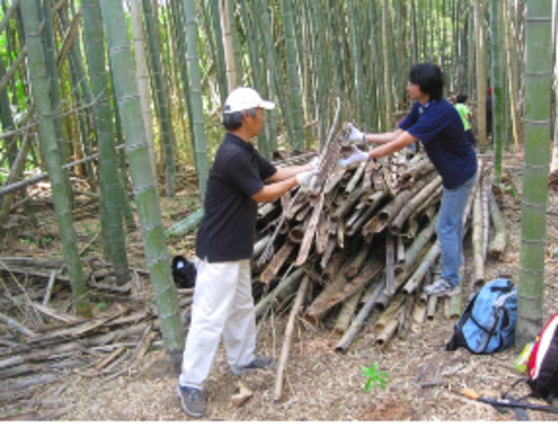 [里サポ　～日本の里山を守り、みらいに伝えよう！～]の画像