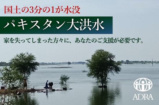 [【パキスタン洪水】国土の3分の1が水没。 家を失った方々に人道支援を （ADRA Japan）]の画像