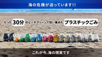 [ かつて生息していたタツノオトシゴが帰ってくるような 江ノ島のキレイな海を取り戻す！ （海さくら）]の画像