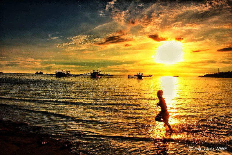 WWFジャパンへのリンク