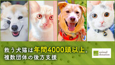 [ 【キモチをカタチに。】日本の動物福祉を世界トップレベルに！]の画像