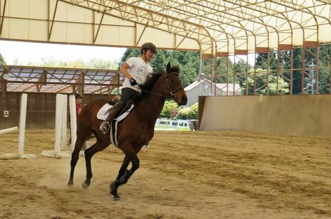 [引退競走馬にセカンドキャリアを！ リトレーニングで未来をつくる！]の画像