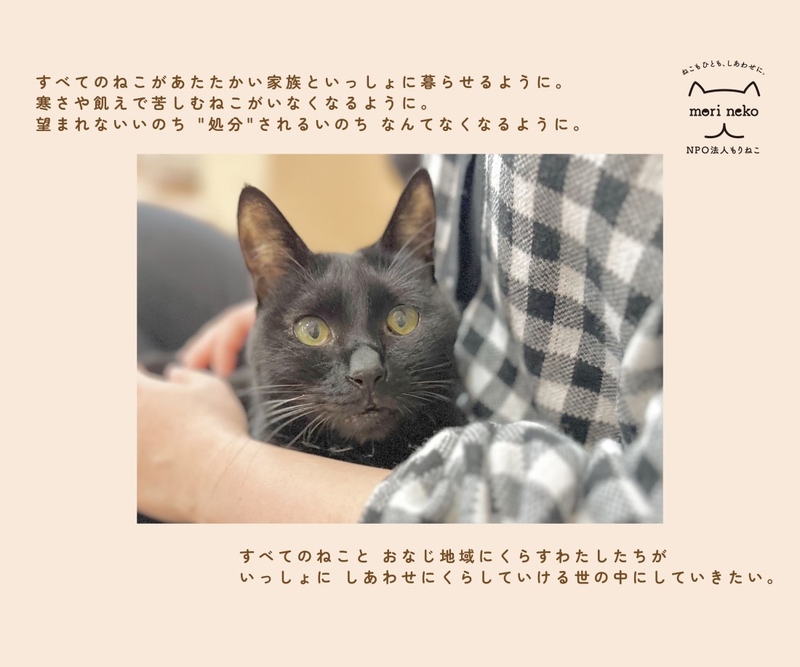 ねこもひとも、しあわせに。岩手から不幸ないのちを減らしたい - Yahoo