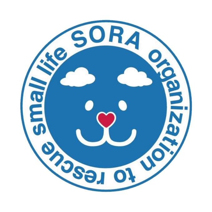 [一般社団法人SORA小さな命を救う会]の画像