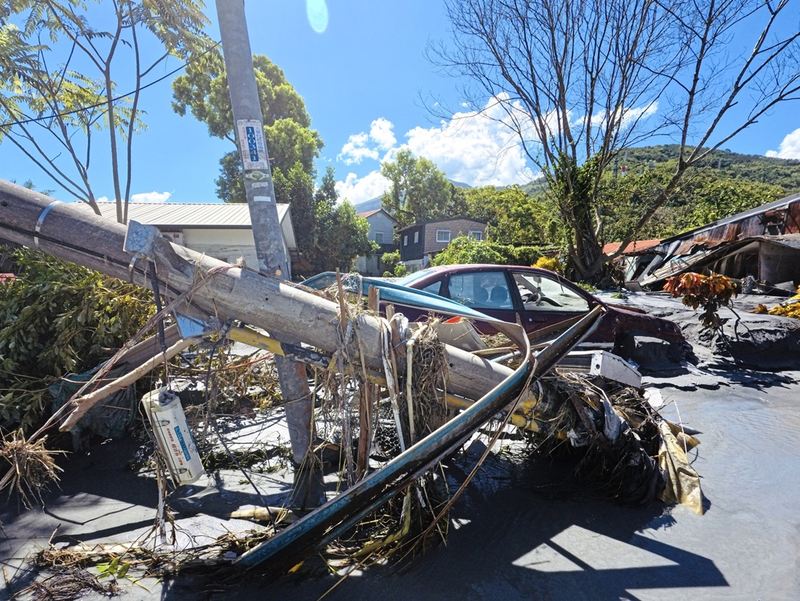 全額支援活動中！！地震等海外支援金募ります！【送料無料】幸運！登り竜 イメージ画 全額支援活動中！！地震等海外支援金募ります！【送料無料】幸運