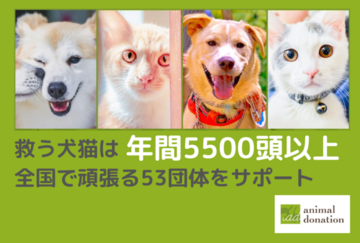 [【キモチをカタチに。】日本の動物福祉を世界トップレベルに！]の画像