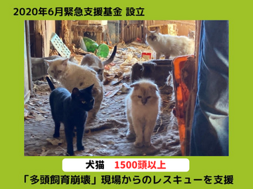 [命の危機が迫った環境から犬猫を救うための《緊急支援基金》]の画像