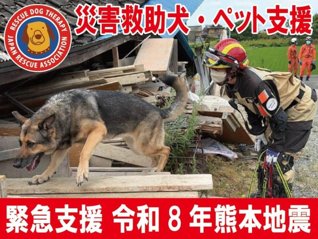 [【緊急支援】令和8年熊本地震 （認定NPO法人日本レスキュー協会）]の画像