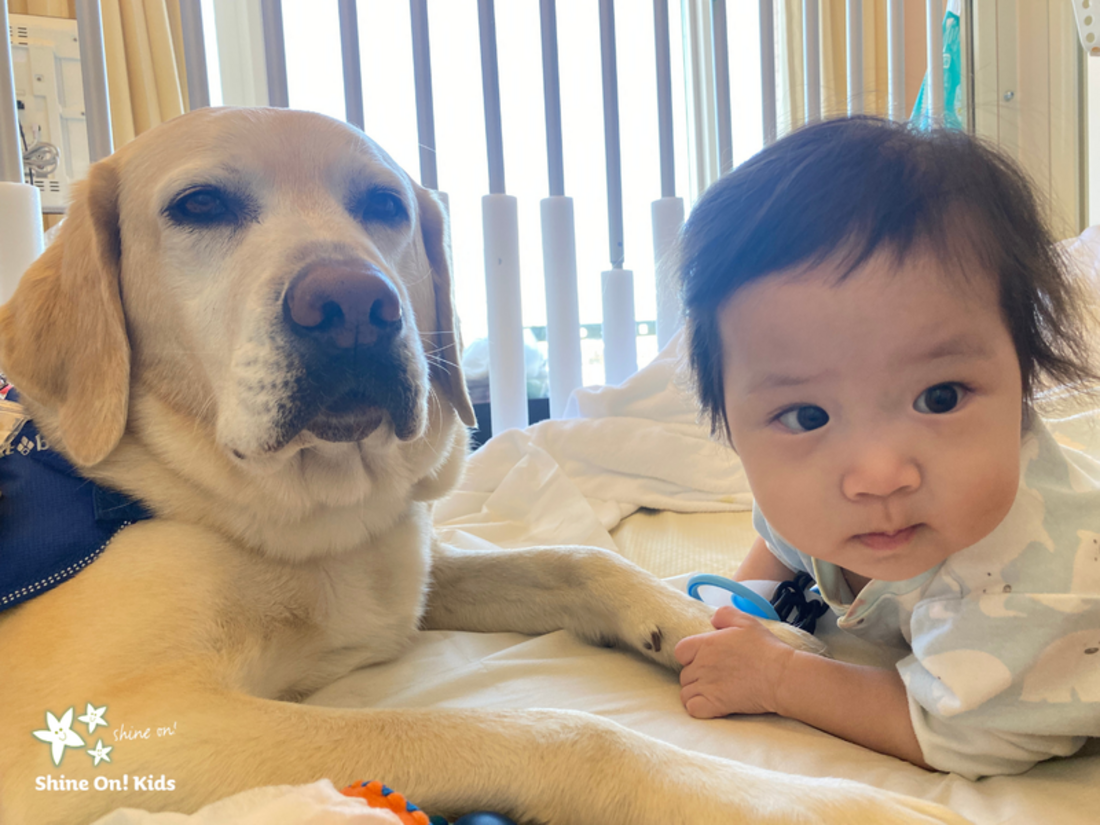 [病気と闘っている子どもたちには「心のケア」が必要です！]の画像