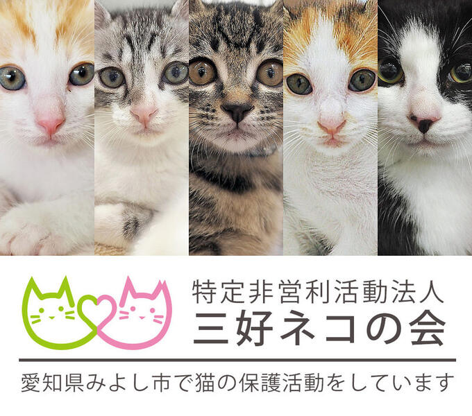 [特定非営利活動法人三好ネコの会]の画像