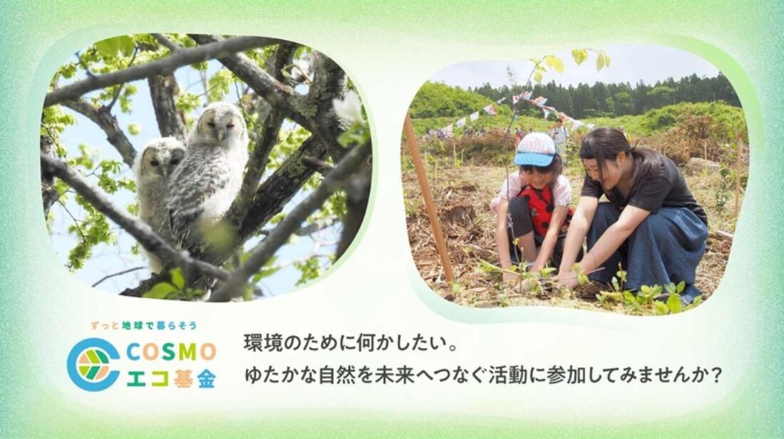 [「ずっと地球で暮らそう。」 COSMOエコ基金 ゆたかな自然を未来へつなぐ]の画像