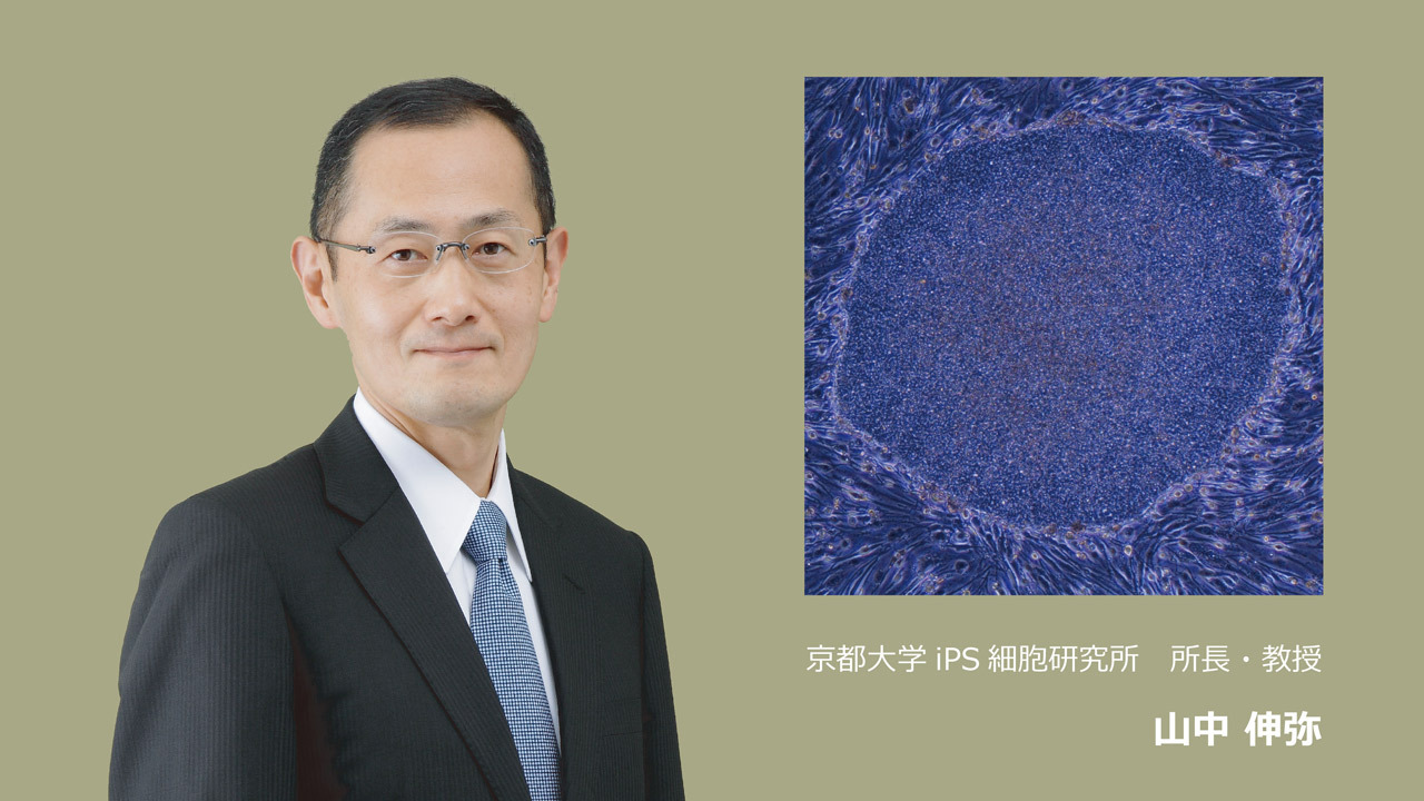 [難病や障害で苦しむ人々を救いたい。 山中伸弥所長率いる京都大学iPS細胞研究所に安定した研究環境を！]の画像