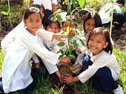[「子供の森」計画 〜森を育てる子どもを育てる －緑あふれる地球を子どもたちの未来へ〜]の画像
