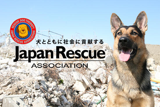 [災害救助犬、セラピードッグの育成派遣 大切な命を救う動物福祉活動にご協力下さい！]の画像