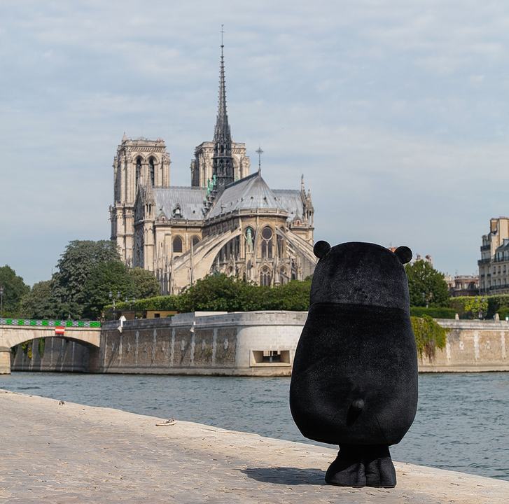 くまモン ノートルダム大聖堂復興応援募金 - Yahoo!ネット募金