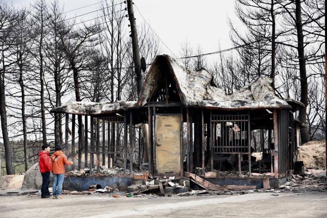 [2019年4月韓国・大規模山火事緊急支援（A-PAD)]の画像