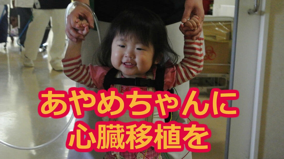[あやめちゃん（2才）を助けて！米国での心臓移植が必要です。]の画像