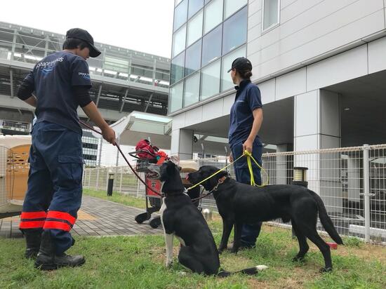 [台風22号（マンクット）被害 医療スタッフとレスキューチーム・救助犬2頭による支援]の画像