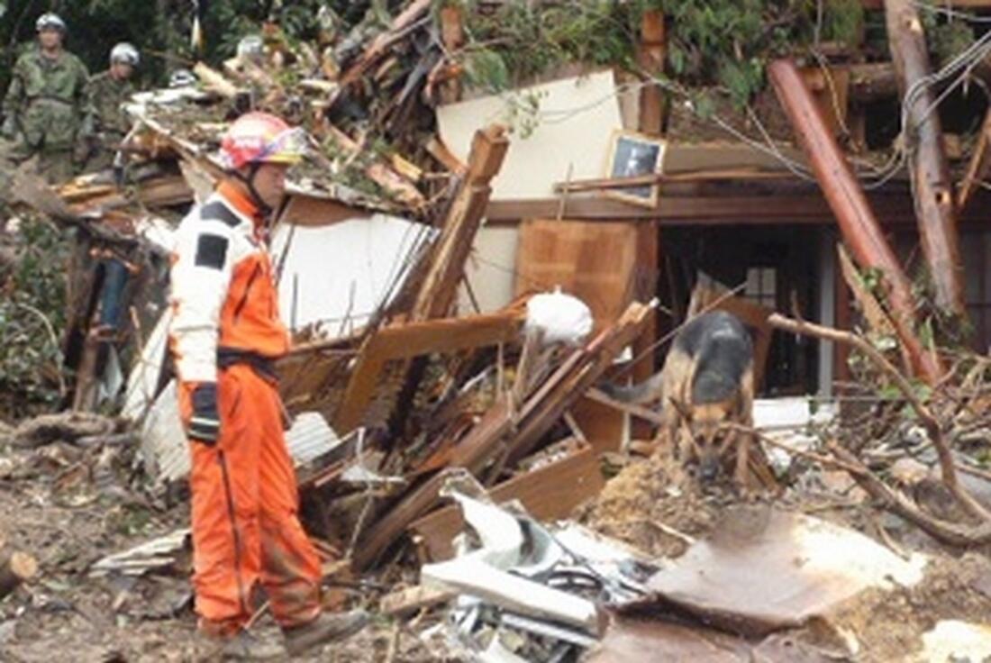 [ネパール地震緊急支援基金]の画像